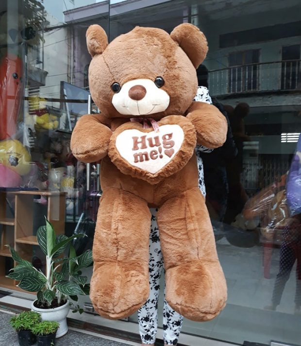 Gấu Teddy Hug me 1m2 nâu