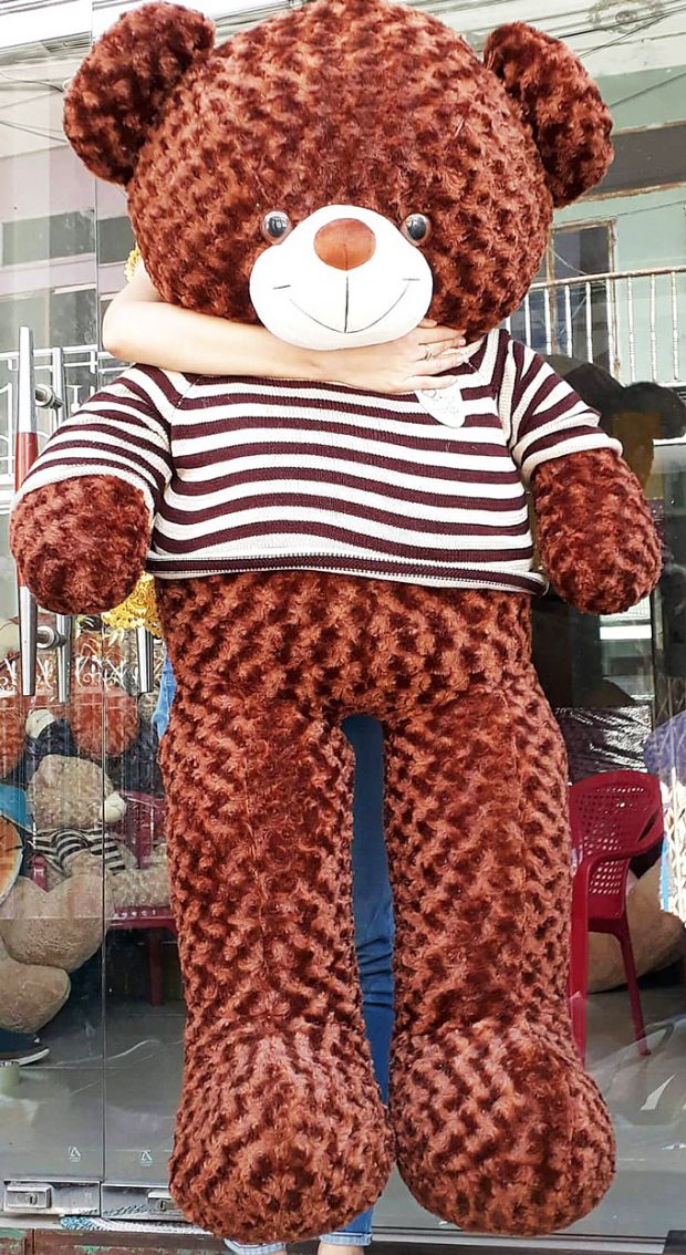 Gấu bông Teddy màu nâu socola size 1.6m