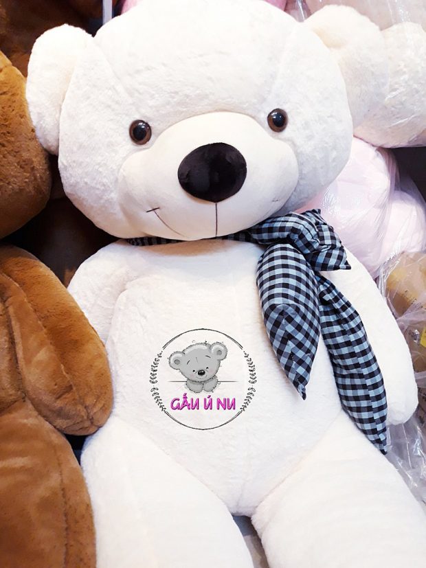 Mẫu màu trắng - Gấu bông Teddy khổng lồ